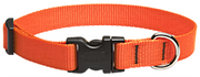 Lupine Collar Orange 3/4"13-22 by Pet Food Warehouse