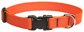 Lupine Collar Orange 3/4"13-22 by Pet Food Warehouse