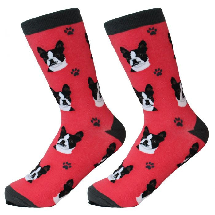 Socks Boston Terrier by Pet Food Warehouse