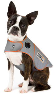 Extra Small 10-18 Platinum Thundershirt by Pet Food Warehouse