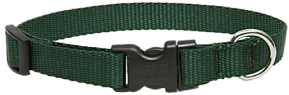 Lupine Collar Green 3/4"13-22 by Pet Food Warehouse