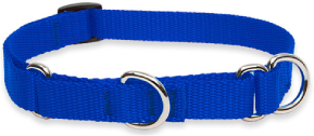 Lupine Combo Collar Blue 3/4" 14-20 by Pet Food Warehouse