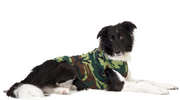 Gold Paw Fleece Camo Size 28 by Pet Food Warehouse