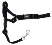 Coastal Dog Head Halter Walk N Train Small by Pet Food Warehouse