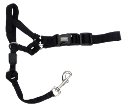 Coastal Dog Head Halter Walk N Train Small by Pet Food Warehouse