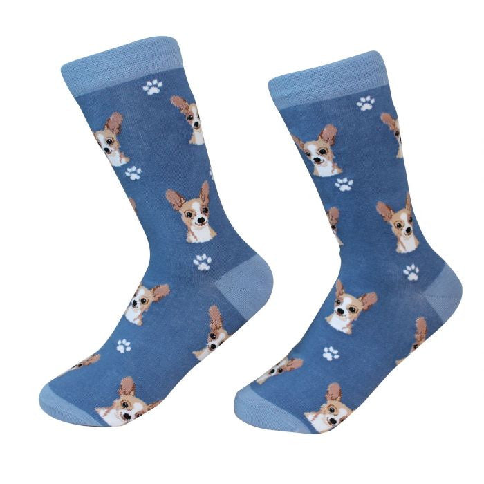 Socks Chihuahua Fawn by Pet Food Warehouse