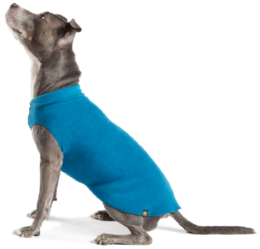 Gold Paw Fleece Marine Blue Size 20 by Pet Food Warehouse