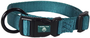 Hamilton Adjustable Dog Collar Teal 1" 18-26" by Pet Food Warehouse
