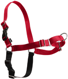 Premier Easy Walk Dog Harness Medium Red by Pet Food Warehouse