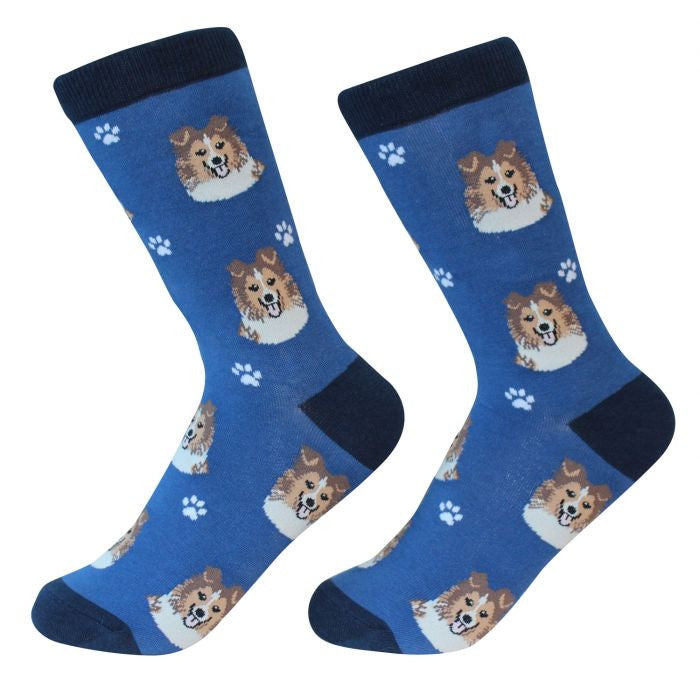 Socks Sheltie by Pet Food Warehouse