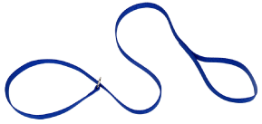 Coastal Kennel Dog Lead Blue 6' x 5/8 by Pet Food Warehouse