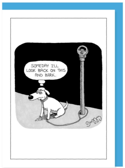 New Yorker Card Dog / Someday Look Back by Pet Food Warehouse