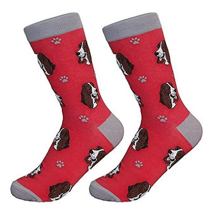 Socks Basset Hound by Pet Food Warehouse