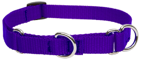 Lupine Combo Collar Purple 3/4" 14-20 by Pet Food Warehouse