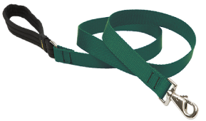 Lupine Lead Green 1" 6' by Pet Food Warehouse