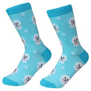 Socks Bichon Frise by Pet Food Warehouse