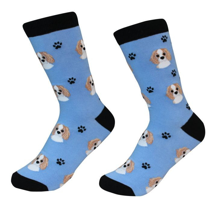 Socks Cavallier King Charles by Pet Food Warehouse