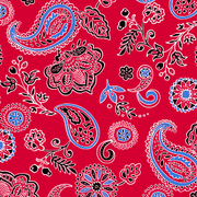 Bandana Floral Paisley Red by Pet Food Warehouse