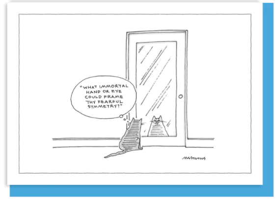 New Yorker Card Cat / Mirror Imortal by Pet Food Warehouse