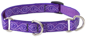 Lupine Combo Collar Jelly Roll 3/4" 14-20 by Pet Food Warehouse