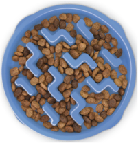 Outward Hound Small Blue Fun Notch Feeder Dog by Pet Food Warehouse