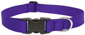 Lupine Collar Purple 1" 16-28 by Pet Food Warehouse