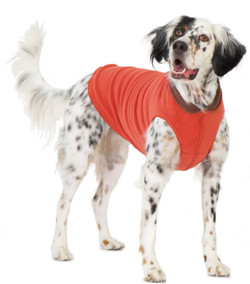 Gold Paw Double Fleece Paprika & Chestnut Size 26 by Pet Food Warehouse