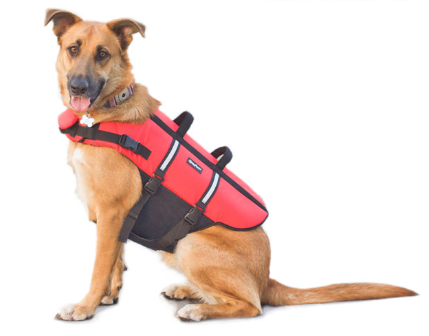 Zippy Paws Life Jacket Large by Pet Food Warehouse