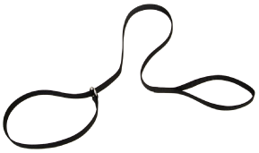 Coastal Kennel Dog Lead Black 6' x 5/8 by Pet Food Warehouse