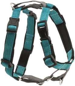 Premier 3 In1 Dog Harness Small Teal by Pet Food Warehouse