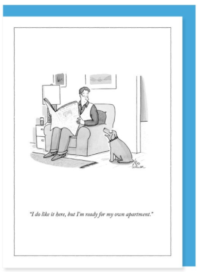 New Yorker Card Dog / Ready For Own Apartment by Pet Food Warehouse