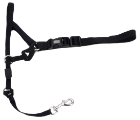 Coastal Dog Head Halter Walk N Train Medium by Pet Food Warehouse
