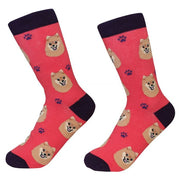 Socks Pomeranian by Pet Food Warehouse