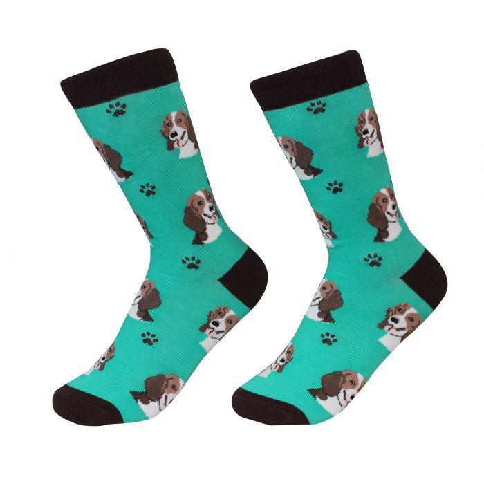 Socks Beagle by Pet Food Warehouse