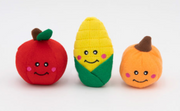 Zippy Paws Fall Harvest 3 Pack by Pet Food Warehouse