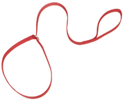Coastal Kennel Dog Lead Red 6' x 5/8 by Pet Food Warehouse