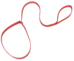 Coastal Kennel Dog Lead Red 6' x 5/8 by Pet Food Warehouse