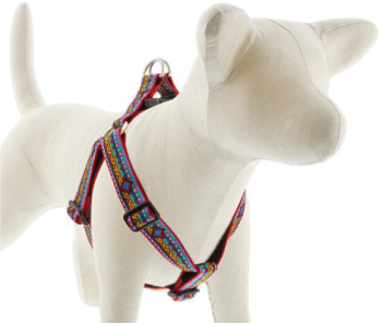 Lupine Step-In Harness El Paso 1/2" 10-13 by Pet Food Warehouse