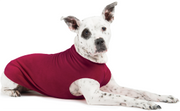 Gold Paw Fleece Garnet Size 18 by Pet Food Warehouse