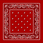 Bandana Paisley Red by Pet Food Warehouse