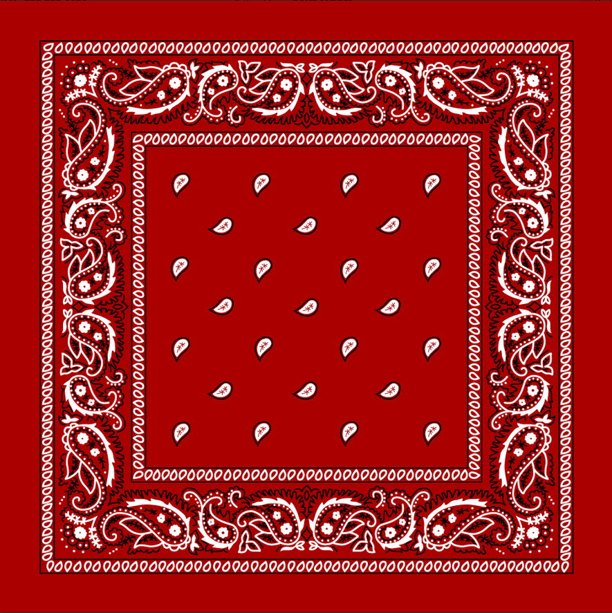 Bandana Paisley Red by Pet Food Warehouse