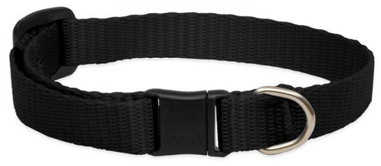 Lupine Safety Cat Collar Black 1/2" 8-12 by Pet Food Warehouse