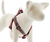 Lupine Step-In Harness El Paso 1" 19-28 by Pet Food Warehouse