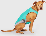 Chill Seeker Cooling Vest Wet Reveal Green Smiley Size 18 by Pet Food Warehouse