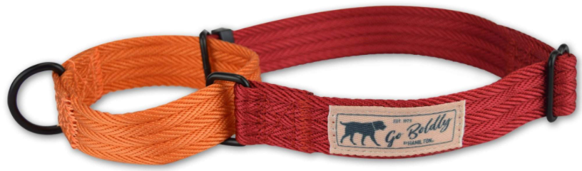Hamilton Martingale Collar Campfire Red & Mango 1 18-26" by Pet Food Warehouse