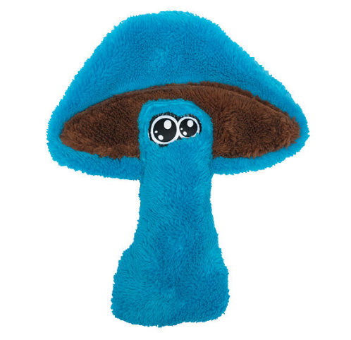Cycle Dog Duraplush Mushroom Assorted Medium by Pet Food Warehouse