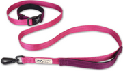 Hamilton Leash Get Out & Go Wild Berry Rose & Wine 1 6' by Pet Food Warehouse