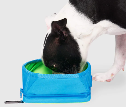Chill Seeker Freeze-And-Go Water Bowl by Pet Food Warehouse
