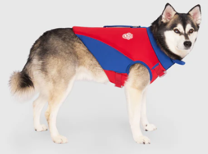 High Tide Life Jacket Red Blue Size 10 by Pet Food Warehouse