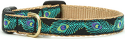 Upcountry Adjustable Safety Cat Collar Peacock 12 by Pet Food Warehouse
